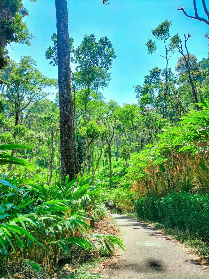 Mystic Mayapott Thekkady Kültér fotó